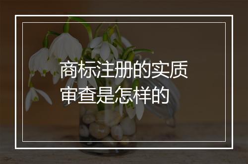 商标注册的实质审查是怎样的