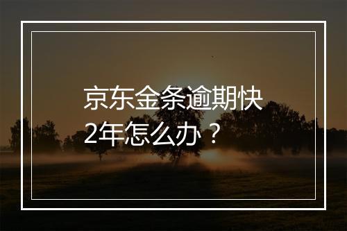 京东金条逾期快2年怎么办？