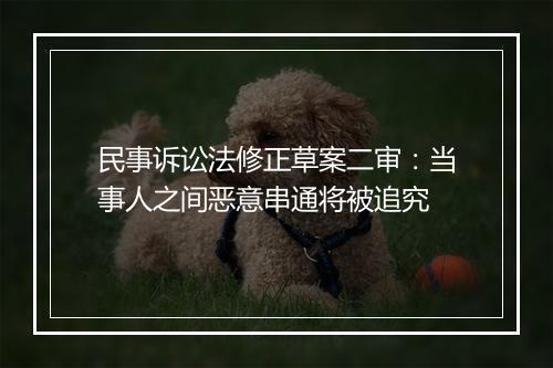 民事诉讼法修正草案二审：当事人之间恶意串通将被追究