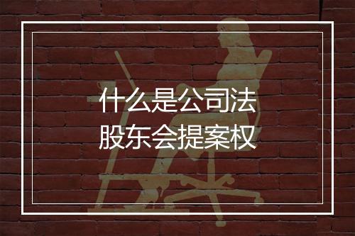 什么是公司法股东会提案权
