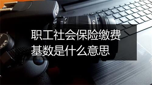 职工社会保险缴费基数是什么意思