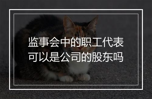 监事会中的职工代表可以是公司的股东吗