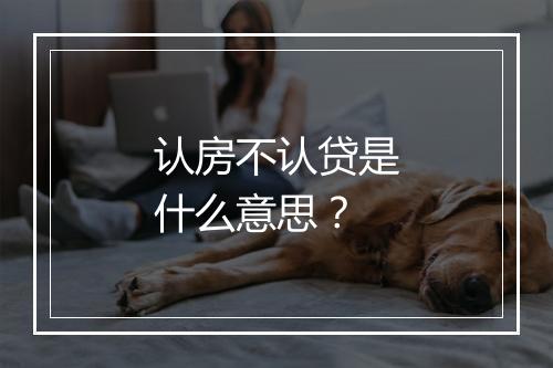 认房不认贷是什么意思？