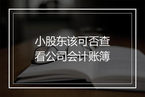 小股东该可否查看公司会计账簿
