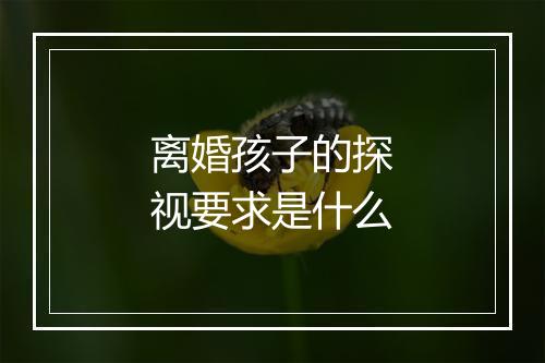 离婚孩子的探视要求是什么