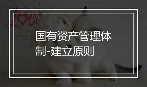 国有资产管理体制-建立原则