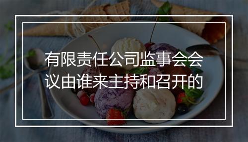 有限责任公司监事会会议由谁来主持和召开的