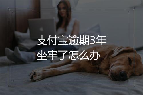 支付宝逾期3年坐牢了怎么办