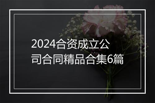2024合资成立公司合同精品合集6篇