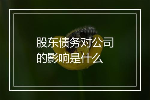 股东债务对公司的影响是什么