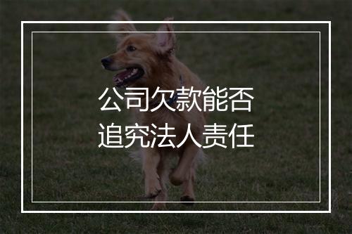 公司欠款能否追究法人责任