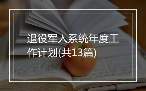 退役军人系统年度工作计划(共13篇)