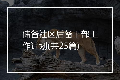 储备社区后备干部工作计划(共25篇)