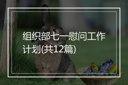 组织部七一慰问工作计划(共12篇)