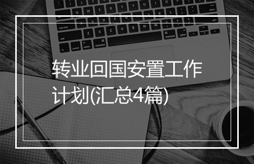 转业回国安置工作计划(汇总4篇)
