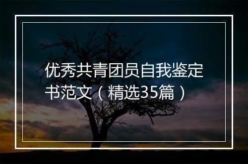 优秀共青团员自我鉴定书范文（精选35篇）
