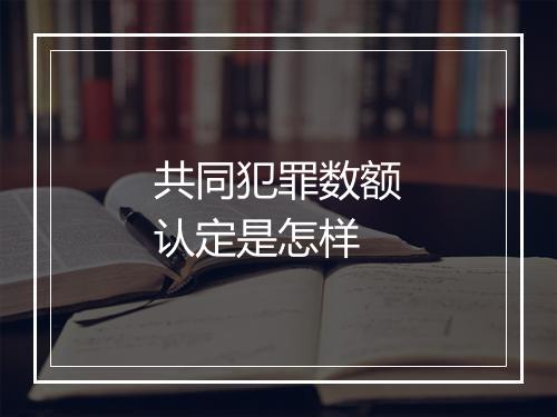 共同犯罪数额认定是怎样