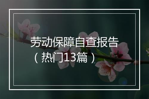 劳动保障自查报告（热门13篇）