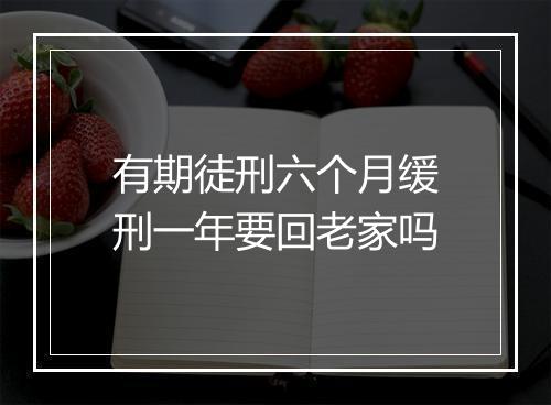 有期徒刑六个月缓刑一年要回老家吗
