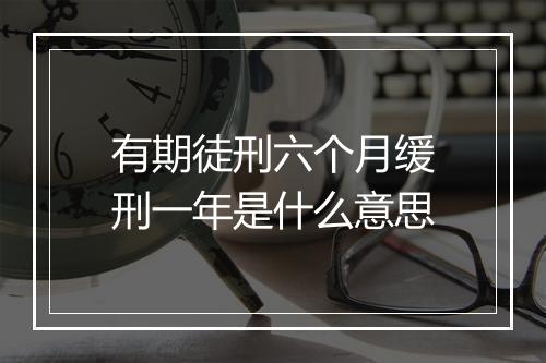 有期徒刑六个月缓刑一年是什么意思