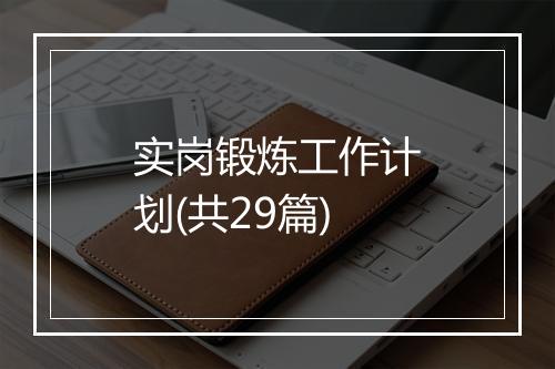 实岗锻炼工作计划(共29篇)