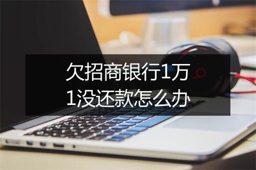 欠招商银行1万1没还款怎么办