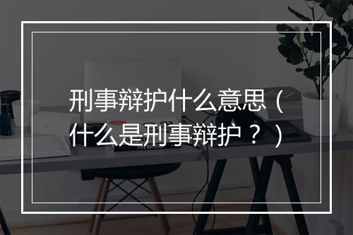 刑事辩护什么意思（什么是刑事辩护？）