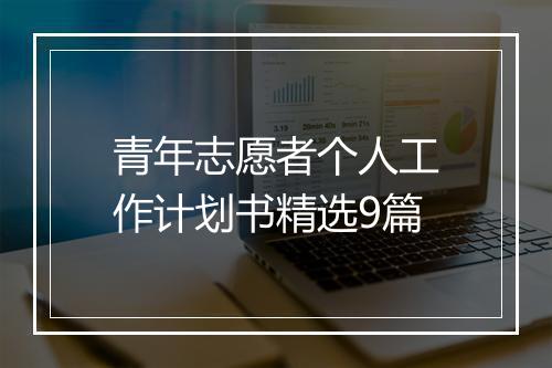 青年志愿者个人工作计划书精选9篇