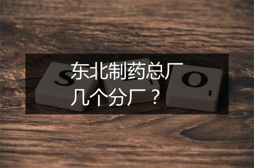 东北制药总厂几个分厂？