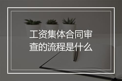 工资集体合同审查的流程是什么