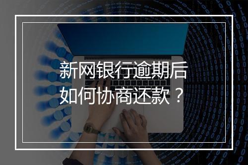 新网银行逾期后如何协商还款？