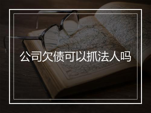 公司欠债可以抓法人吗