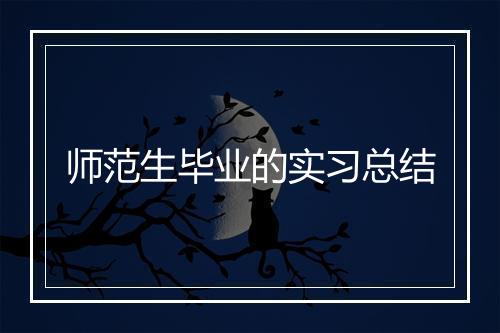 师范生毕业的实习总结