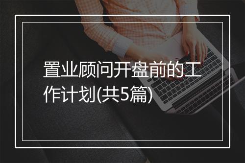 置业顾问开盘前的工作计划(共5篇)