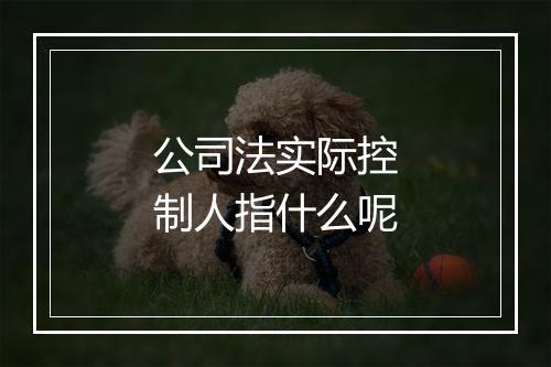 公司法实际控制人指什么呢