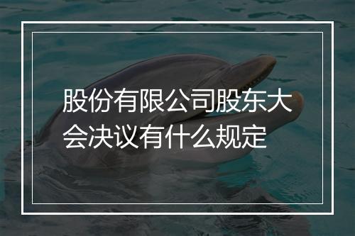 股份有限公司股东大会决议有什么规定