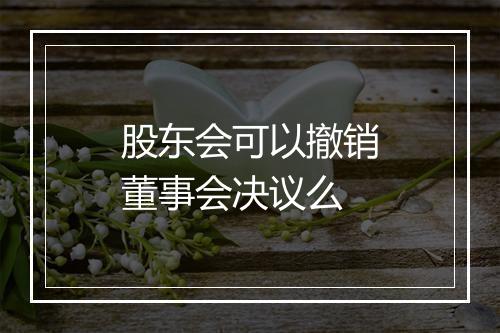 股东会可以撤销董事会决议么