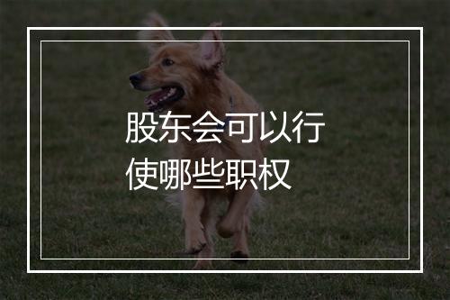 股东会可以行使哪些职权