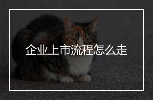 企业上市流程怎么走