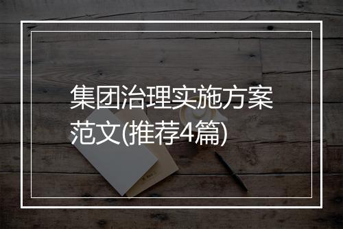集团治理实施方案范文(推荐4篇)