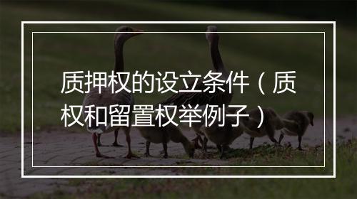 质押权的设立条件（质权和留置权举例子）
