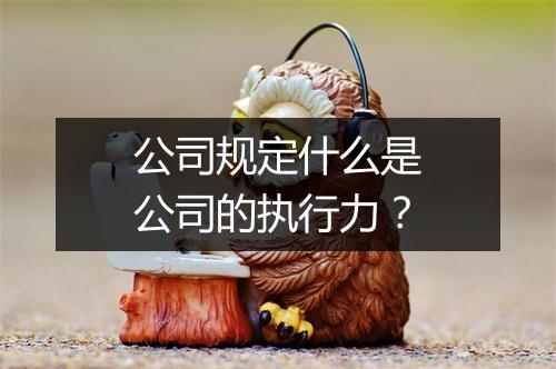 公司规定什么是公司的执行力？