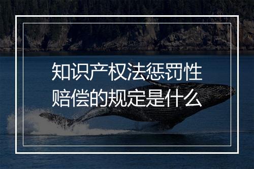 知识产权法惩罚性赔偿的规定是什么