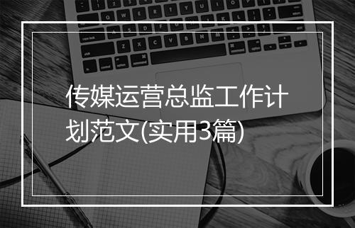 传媒运营总监工作计划范文(实用3篇)