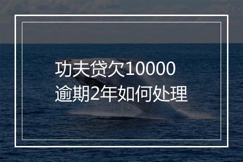 功夫贷欠10000逾期2年如何处理