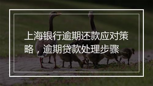 上海银行逾期还款应对策略，逾期贷款处理步骤