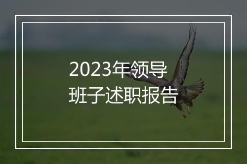2023年领导班子述职报告