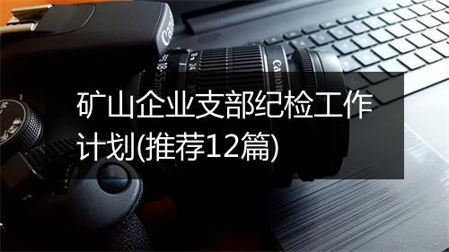 矿山企业支部纪检工作计划(推荐12篇)