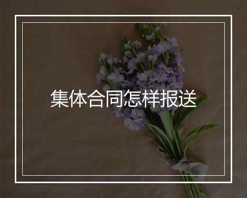 集体合同怎样报送