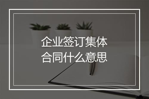 企业签订集体合同什么意思